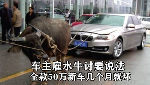 第3480页