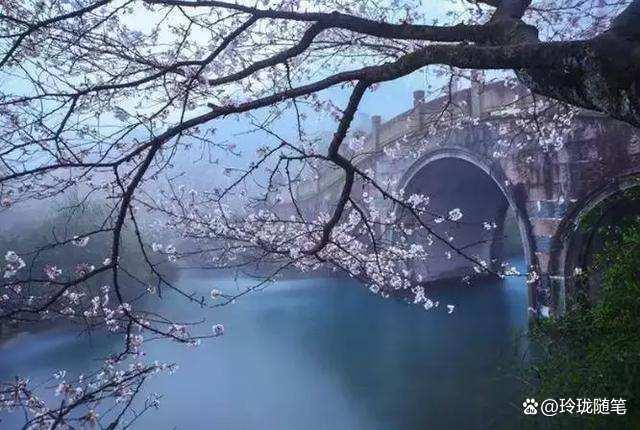 关于我们 第693页