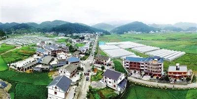 成功案例 第660页