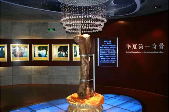 新闻动态 第577页