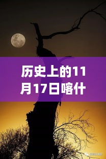 联系我们 第502页