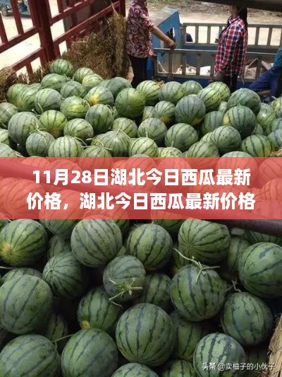 jiaowangguozheng 第9页
