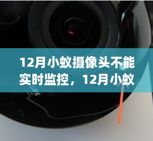 新闻动态 第263页