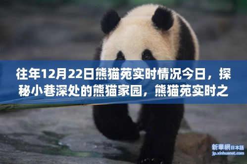 成功案例 第283页