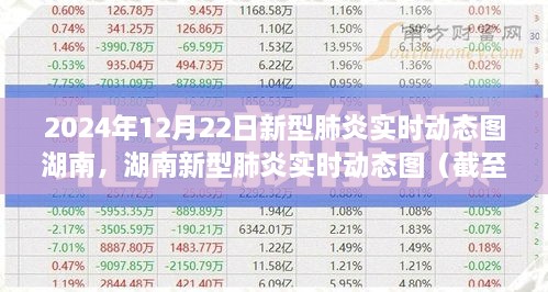 关于我们 第274页
