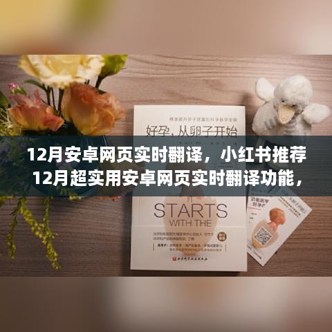 关于我们 第272页