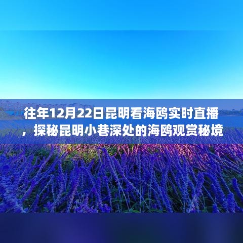 联系我们 第269页