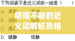 成功案例 第253页