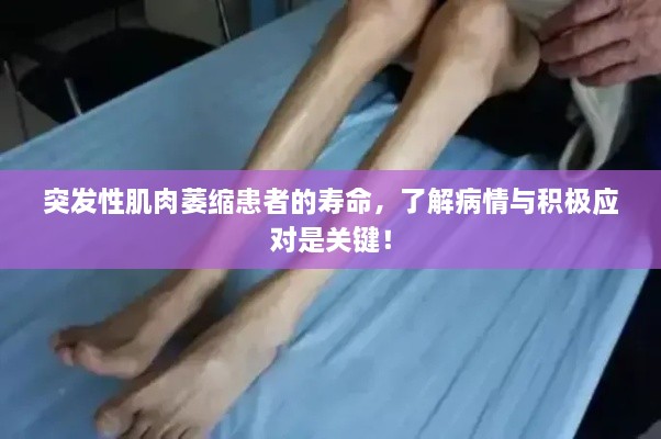 联系我们 第244页