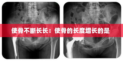 成功案例 第242页