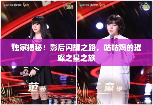 成功案例 第240页