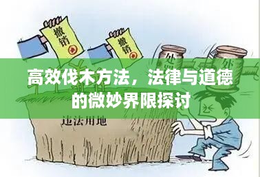 高效伐木方法，法律与道德的微妙界限探讨