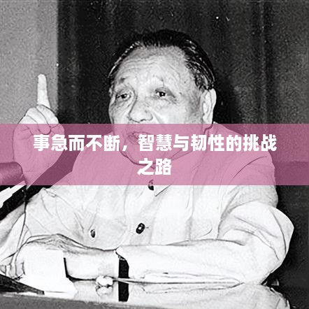 成功案例 第231页