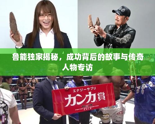 联系我们 第215页
