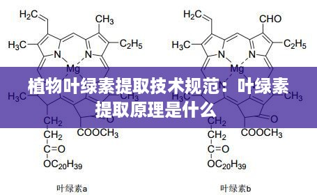 新闻动态 第164页