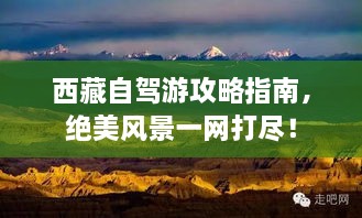 联系我们 第181页