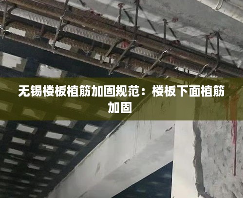 新闻动态 第144页