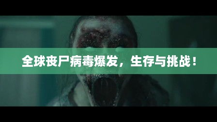 成功案例 第178页