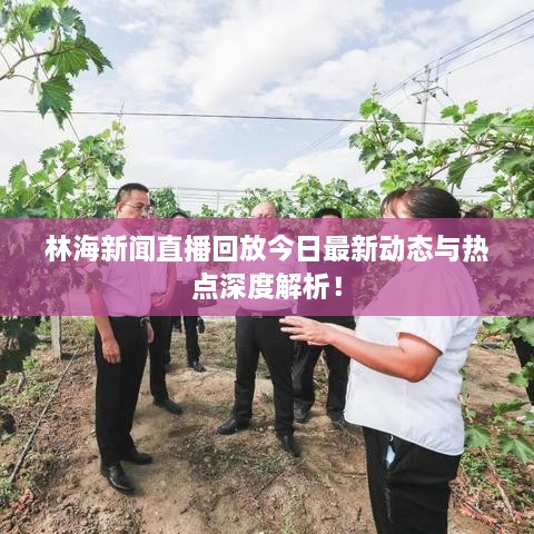 不怕一万，就怕万一 第2页