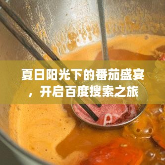 成功案例 第168页
