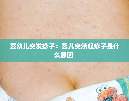 成功案例 第163页