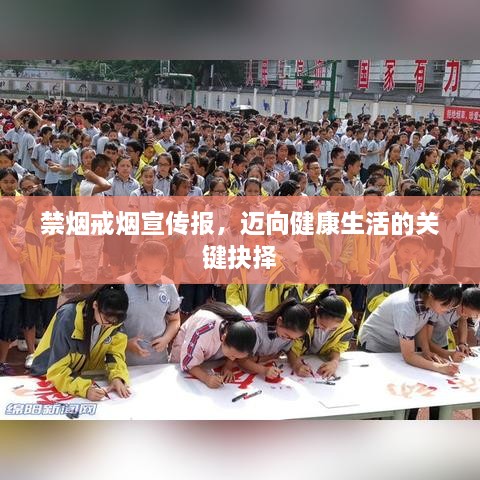 产品中心 第84页