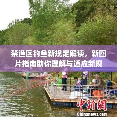 禁渔区钓鱼新规定解读，新图片指南助你理解与适应新规