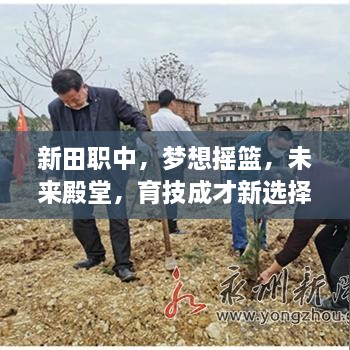 新闻动态 第70页