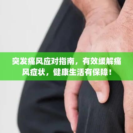 产品中心 第70页