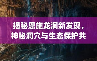 揭秘恩施龙洞新发现，神秘洞穴与生态保护共融共创奇迹