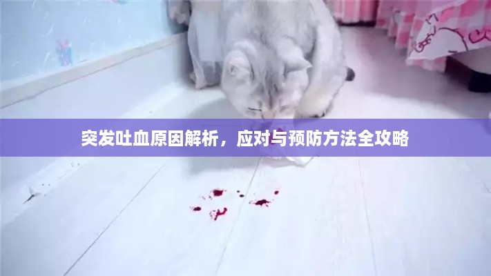 联系我们 第47页