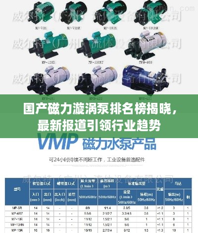 国产磁力漩涡泵排名榜揭晓，最新报道引领行业趋势