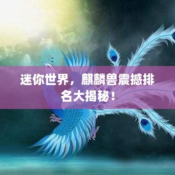 成功案例 第32页