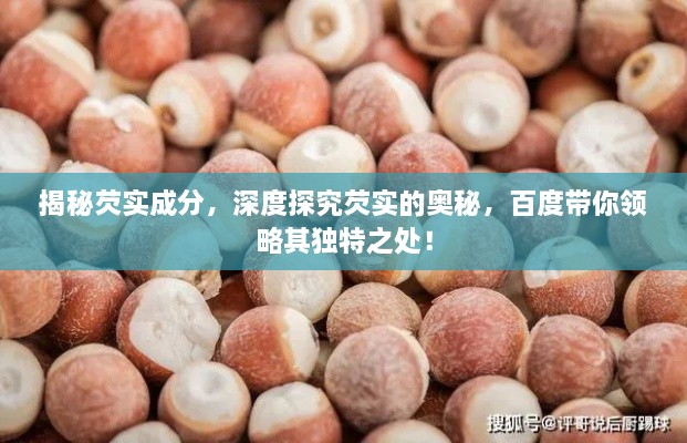 成功案例 第26页