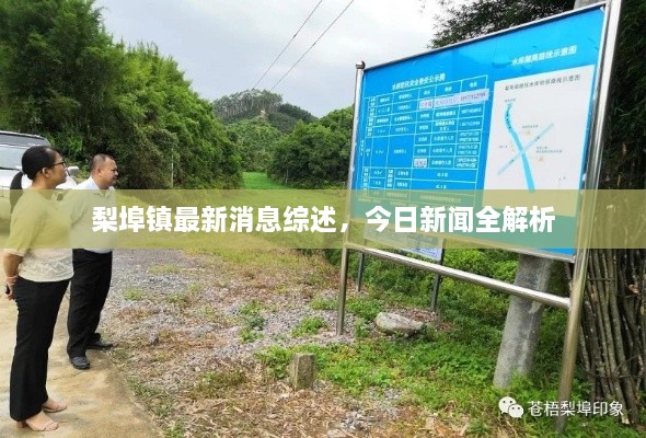 沉厚寡言