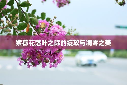 将计就计