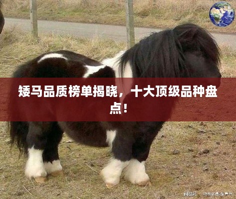 新闻动态 第10页