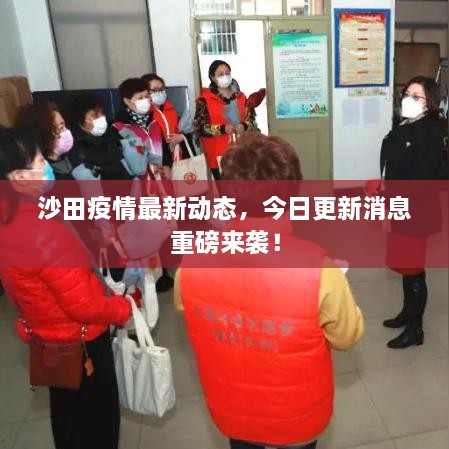 沙田疫情最新动态，今日更新消息重磅来袭！