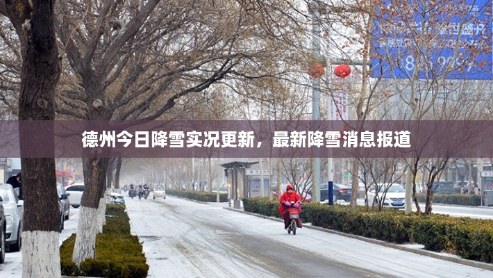 德州今日降雪实况更新，最新降雪消息报道