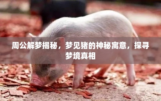 周公解梦揭秘，梦见猪的神秘寓意，探寻梦境真相