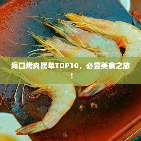 海口烤肉榜单TOP10，必尝美食之旅！