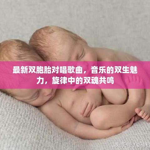 最新双胞胎对唱歌曲，音乐的双生魅力，旋律中的双魂共鸣