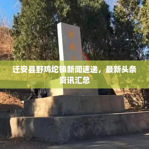 迁安县野鸡坨镇新闻速递，最新头条资讯汇总