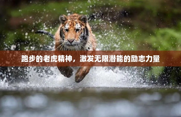 跑步的老虎精神，激发无限潜能的励志力量