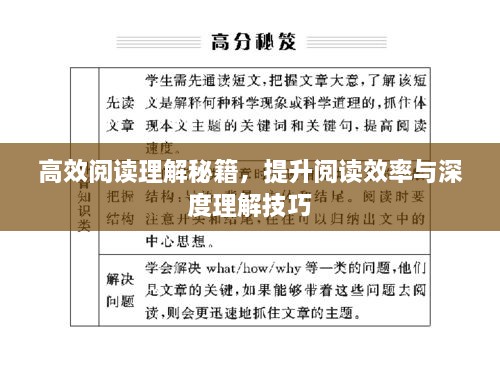 高效阅读理解秘籍，提升阅读效率与深度理解技巧