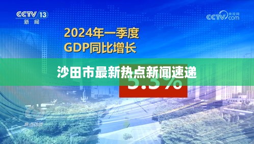 沙田市最新热点新闻速递