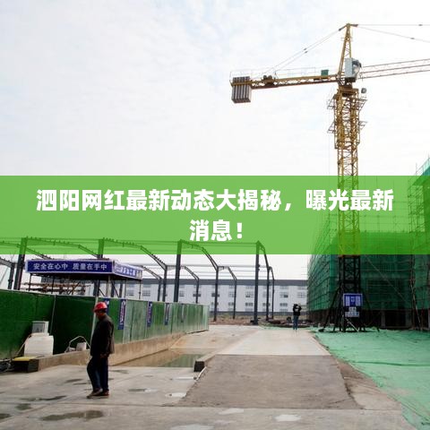 泗阳网红最新动态大揭秘，曝光最新消息！