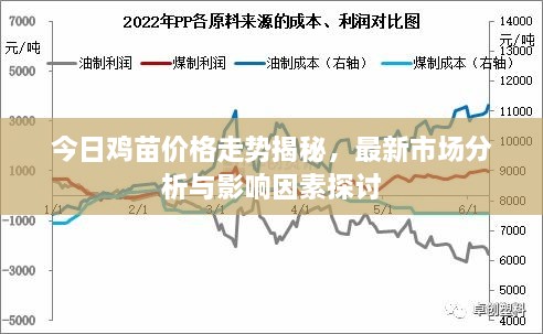 今日鸡苗价格走势揭秘，最新市场分析与影响因素探讨