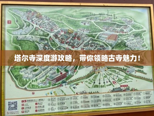 塔尔寺深度游攻略，带你领略古寺魅力！