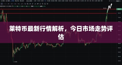 莱特币最新行情解析，今日市场走势评估